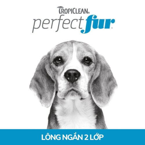 Sữa tắm cho chó lông ngắn Tropiclean PerfectFur Short Double 473ml