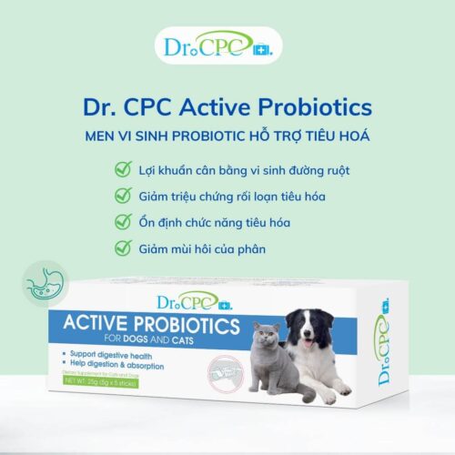 Men tiêu hóa Probiotic Dr. CPC