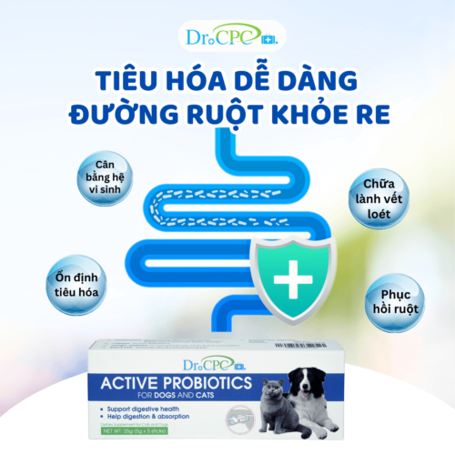 Men vi sinh hỗ trợ tiêu hoá cho chó mèo Dr. CPC Probiotics 25g