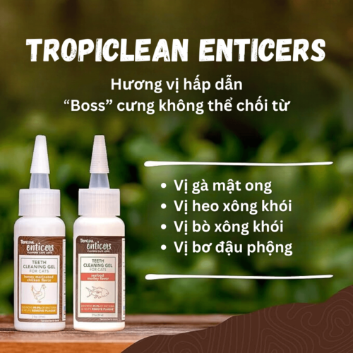 Gel vệ sinh răng miệng cho mèo Tropiclean 59ml - Vị gà ướp mật ong