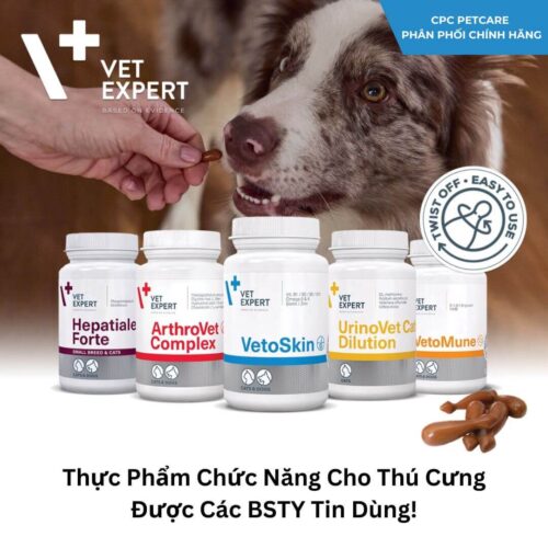 Viên uống hỗ trợ các vấn đề về da cho chó mèo - VetoSkin Vet Expert 60 viên