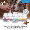 Viên thực phẩm chức năng hỗ trợ hệ thần kinh cho chó mèo - Neuro Support Vet Expert 45 viên