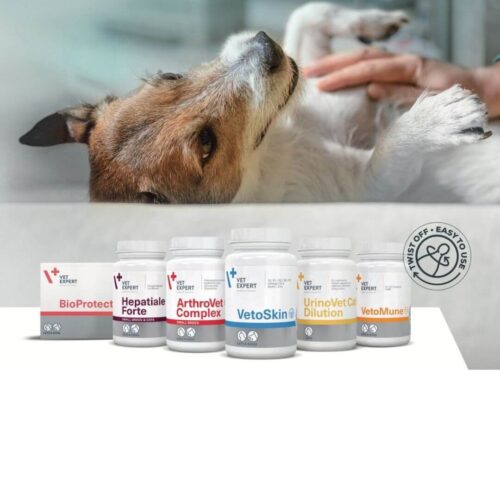 Viên thực phẩm chức năng hỗ trợ hệ thần kinh cho chó mèo - Neuro Support Vet Expert 45 viên