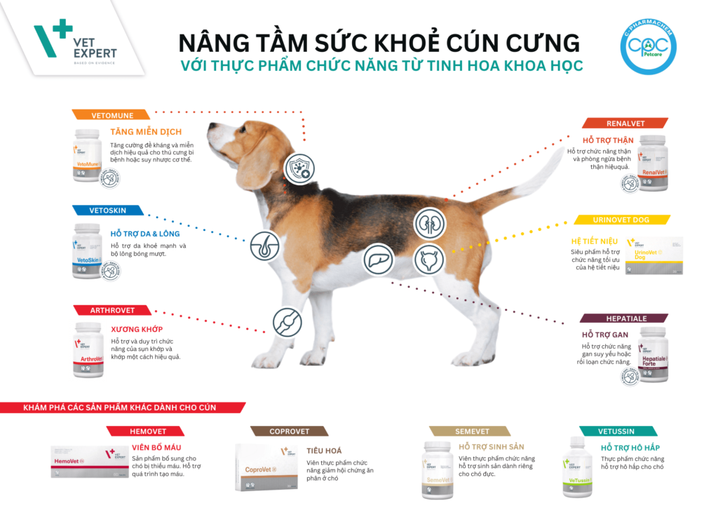 thực phẩm chức năng cho chó Vet Expert