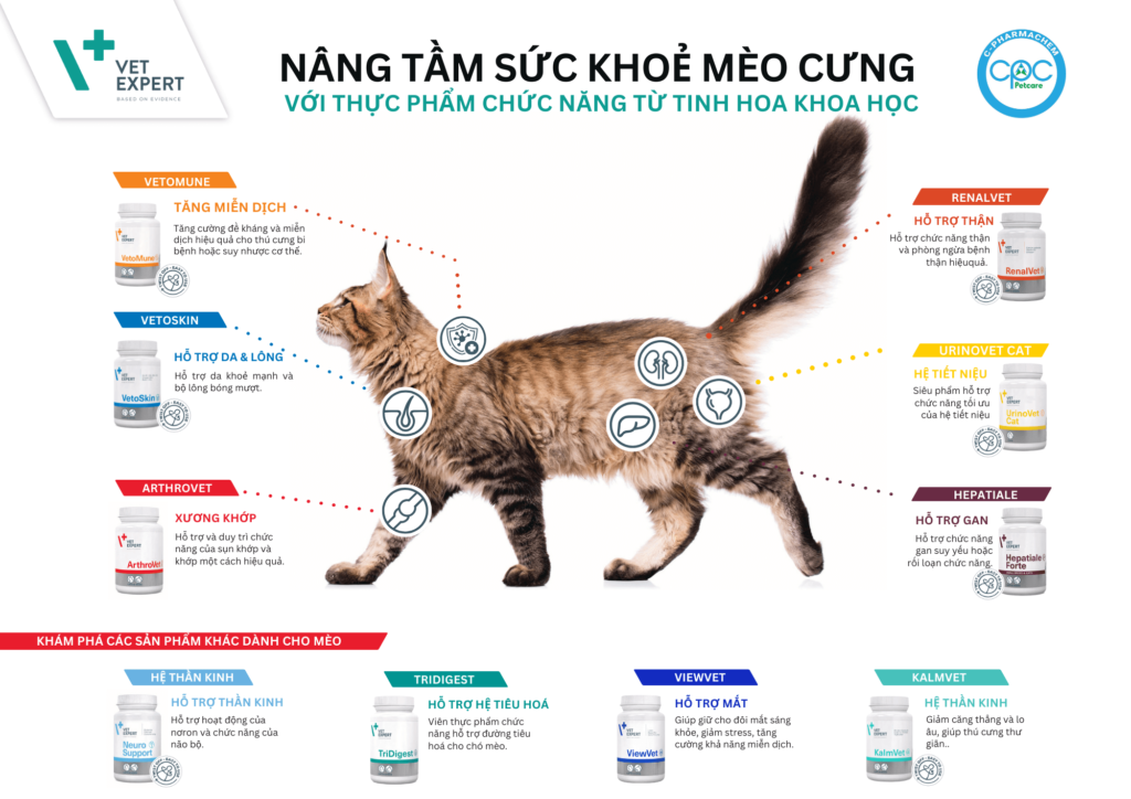 thực phẩm chức năng cho mèo Vet Expert