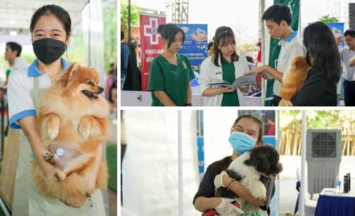 Ngày hội thú cưng Super Pet Fest 2024